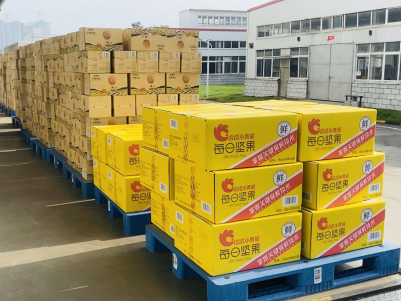 洪水无情，大奖国际有情——大奖国际捐赠物资助力抗洪救灾