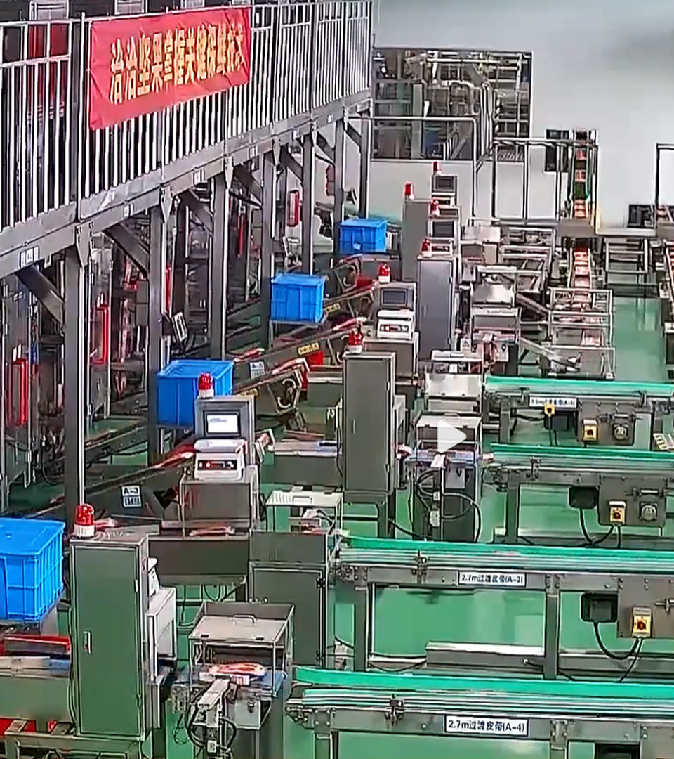 2020年大奖国际透明工厂直播